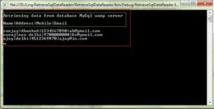 Run application and show data